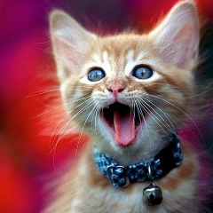 Маша Борисенко, 07.03.1987, Киев