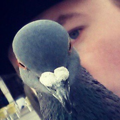 Макс Павлов, 24.02