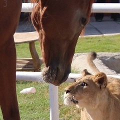 София Ивлева, 06.08.1991, Москва
