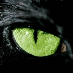 Сергей Деревщиков, 14.08.1991