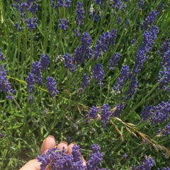 Виктория Кузьмина, 14.07, Москва