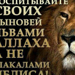 Иса Самбулатов, 11.10.1991, Москва