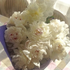 Zhuldyzay Baimbetova, 17.05, Алматы