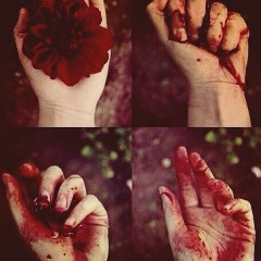 Айсет Ирзаханова, 23.12