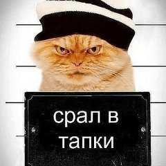 Елена Иванова, 12.02.1993, Киев