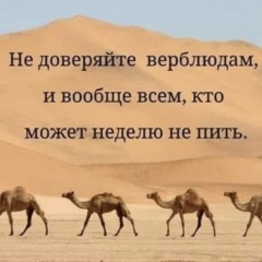 Nido Nido, 05.04, Самара