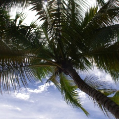 Алексей Тихомиров, 20.12.1987, Москва