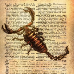 Irina Koval, 02.07, Таллин