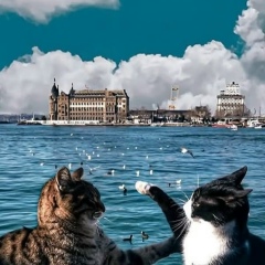 Артем Подшибякин, 11.08