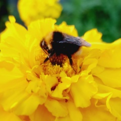 Ирина Кондратьева, Санкт-Петербург