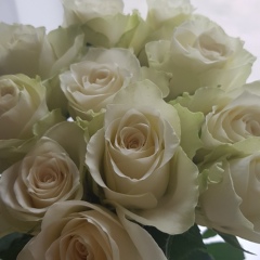 Наталья Богданова, 15.02.1989, Могилёв