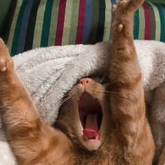 Наталия Сергеевна, 02.01, Краснодар