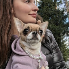 Анна Шепеленко, Москва