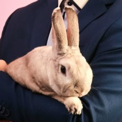 Тимур Водовозов, 25.04.1986, Санкт-Петербург