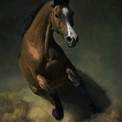 Еркебулан Сахибеденов, 19.08.1986, Атырау