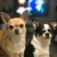 Ирина Калабина, 01.12.2000, Петрозаводск