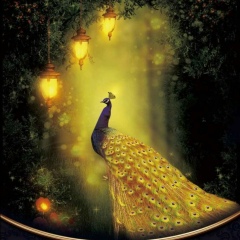 Ainasha 070, 07.02, Усть-Каменогорск