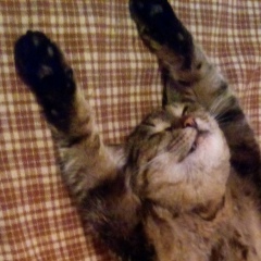 Сергей Штылёв, 19.04.1989, Норильск