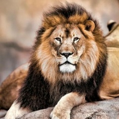 Роман Ак, 04.08, Санкт-Петербург