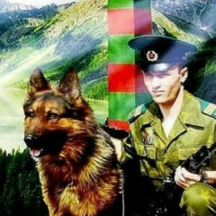 Денис Воронов, 02.08.1982, Санкт-Петербург