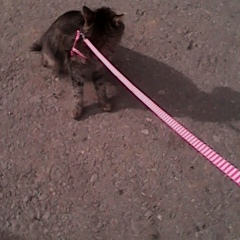 Настя Онучина, 24.08.2000, Южноуральск