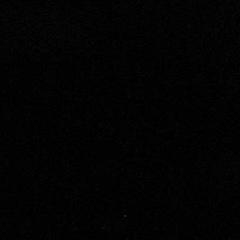 Алиса Водолазова