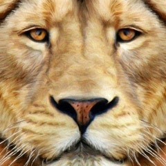 Кирилл Львов, 24.04