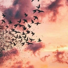 Любовь Любовь, 07.01, Тюмень