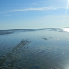 Наталия Корбут, Санкт-Петербург