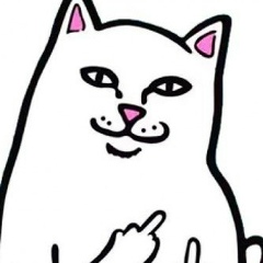 Наталья Палкина, 27.04.1991, Санкт-Петербург