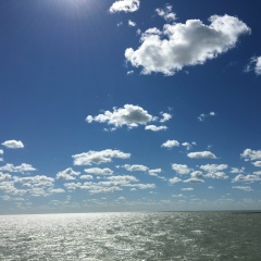 Сакен Бурабаев, 19.07.1960, Copenhagen