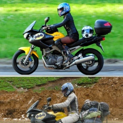 Христя Хитрозверь, 02.06.1986