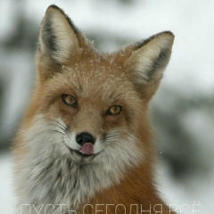 Елизавета Меркулова, 13.07.1993, London