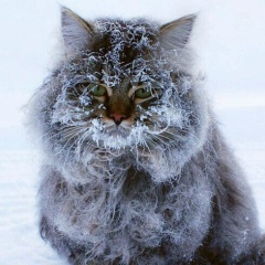 Мария Маклакова, 01.02, Москва