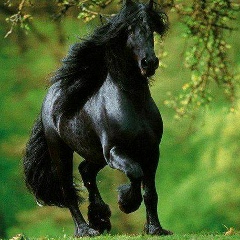 Muhtar Kushkinbaev, 17.06.1986, Тараз