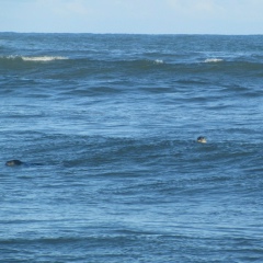 Оля Радова, 04.02.2008, Южно-Сахалинск