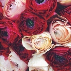 Татьяна Иванус, 10.02.1988