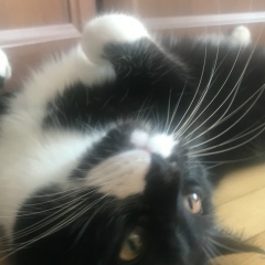 Дмитрий Сайгутин, 14.03.1987, Ставрополь