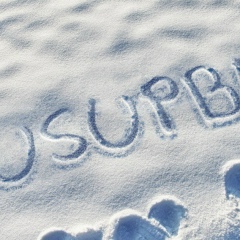 Юсупбек Шамуратов, 08.10.1990, Кунград