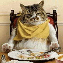 Сергей Солодовников, 18.03.1983, Санкт-Петербург