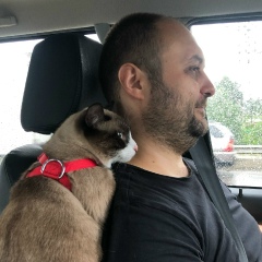 Александр Бучацкий, 16.12, Зорино