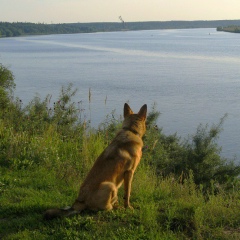 Александр Завьялов, 21.02.1985, Санкт-Петербург