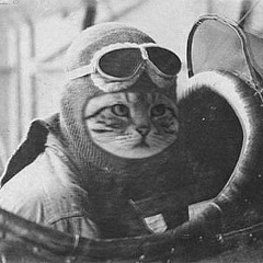 Нейропотам Невропотапыч, 01.03.1964, Ростов-на-Дону