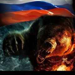 Александр Краснов, Санкт-Петербург