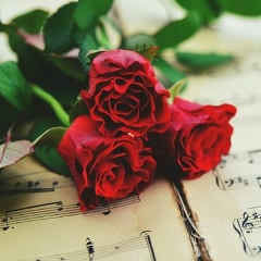 Дилда Курманова, Сатпаев