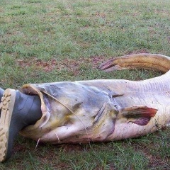 Николай Путешов, 13.10.1986, Петрозаводск