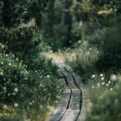 Минкаил Шахбиев, 07.02.1995, Сибай