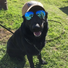 Роман Мартыненко, 24.09