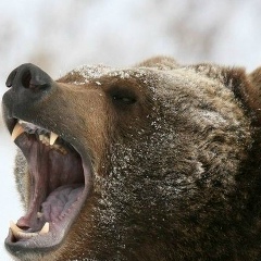 Сергей Александровский, 06.09