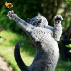 Александр Малинковский, 15.01.1979, Винница